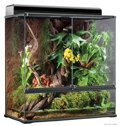 Exo Terra Glass Terrarium Reptile Habitat, 36"x18"x36" Phydeaux