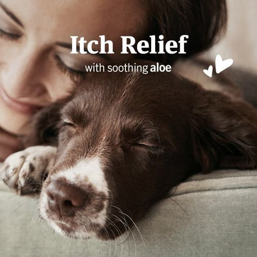 Petarmor Ear Mite & Tick Treatment for Dogs 3 oz Phydeaux