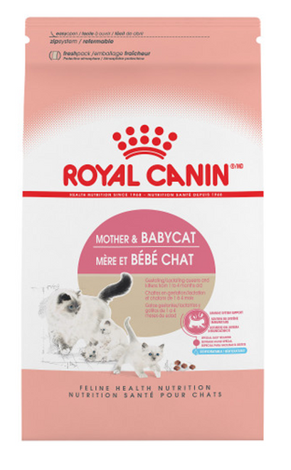 Royal Canin Mother & Babycat For Newborn Kittens & Pregnant And Nursing Cats