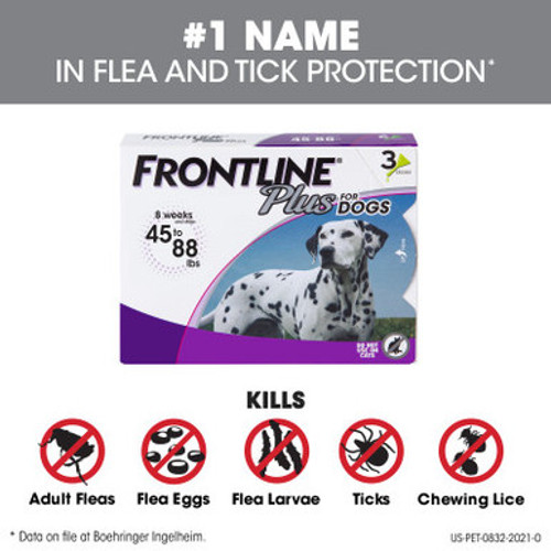 Merial Frontline Plus Flea & Tick Treatment 3 pack