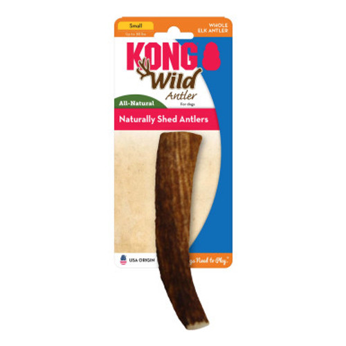 Kong Medium Wild Whole Elk Antler Dog Chew 