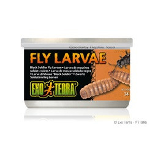 Exo Terra Canned Black Soldier Fly Larvae Reptile Food 1.2 oz