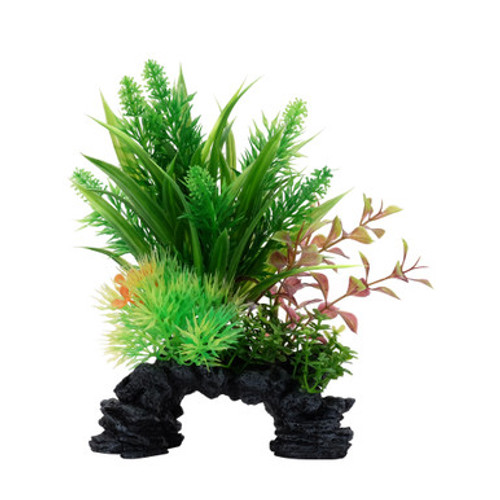 Fluval Ludwigia Sagittarius Aquarium Plant 8 in