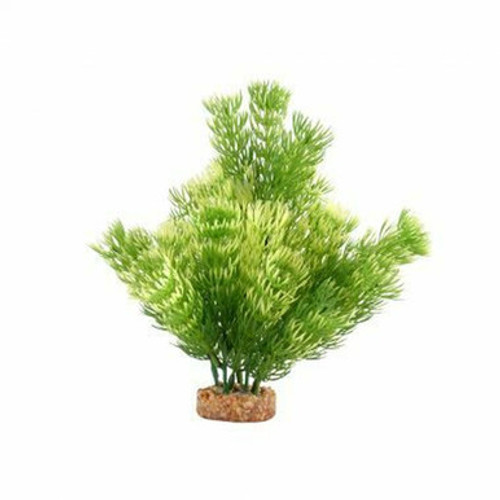 Fluval Green Cabomba Aquarium Plant 8 in