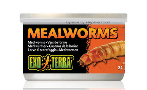 Exo Terra Mealworms Canned Reptile Food 1.2 oz