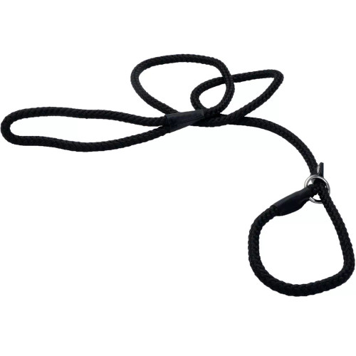 Coastal Pet Products Rope Slip Dog Leash 6 ft