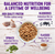 Wellness Complete Health Puppy Deboned Chicken, Oatmeal, & Salmon Meal Recipe Dry Dog Food