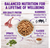 Wellness Complete Health Adult Lamb & Barley Recipe Dry Dog Food