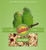 Volkman Avian Science Super Parrotlet Diet 4 lb