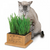 Pioneer Pet Smartcat Kitty's Garden Seed Refill Kit 
