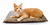 K&h Pet Products Amazin' Kitty Pad 