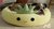 Squishmallows Pet Bed Maui the Pineapple