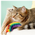 Yeowww Rainbow Catnip Pillow Cat Toy 