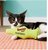 Yeowww Fish Catnip Green Pillow Cat Toy 