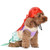 Fetch Disney Ariel Dog Halloween Costume