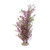 Fluval Red Rotala Aquarium Plant 10 in