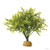 Exo Terra Boxwood Bush Terrarium Plant 