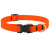 Lupine Splash Neon Orange Waterproof Adjustable Dog Collar