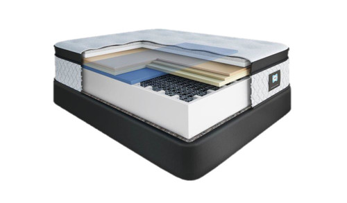 Sealy Posture Premier Nexus Plush