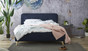 Coby bed