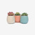 AGAMI Stylish Plant Container Set