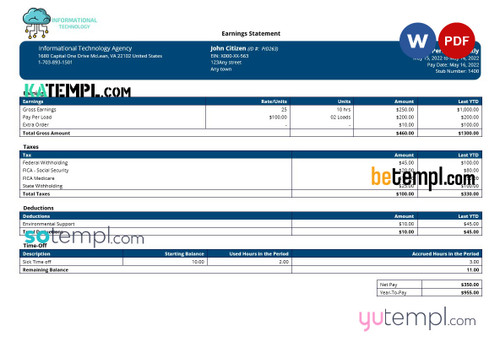 information technology company paystub template in Word and PDF formats