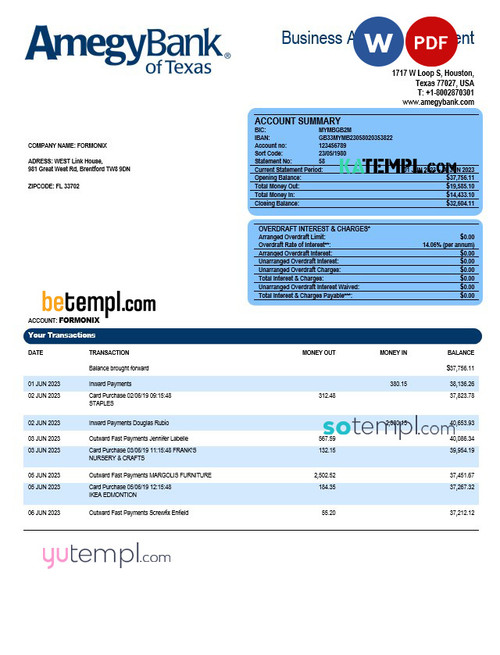 Amegy Corporation Bank organization account statement Word and PDF template