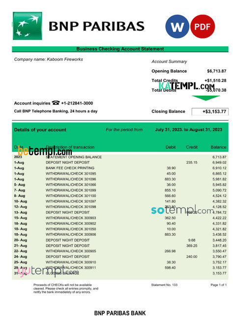 BANK BNP Paribas company statement Word and PDF template