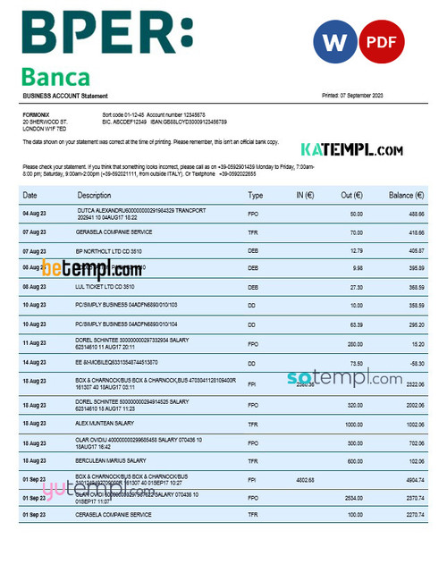 BPER Group organization statement Word and PDF template