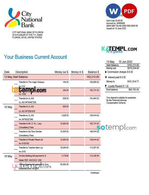 City National Bank of Florida firm account statement Word and PDF template