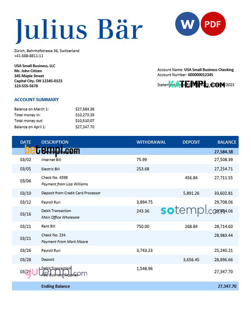 JULIUS Baer Bank company statement Word and PDF template