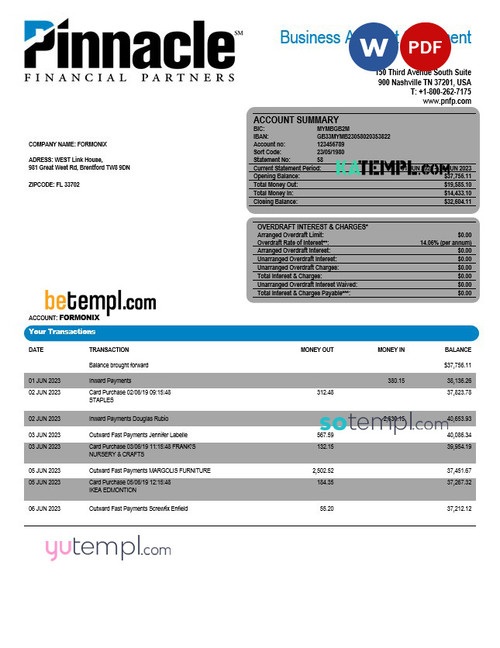 PINNACLE Financial Bank firm account statement Word and PDF template