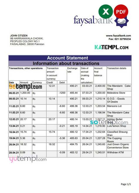 Pakistan Faysal Bank statement easy to fill template in .xls and .pdf file format