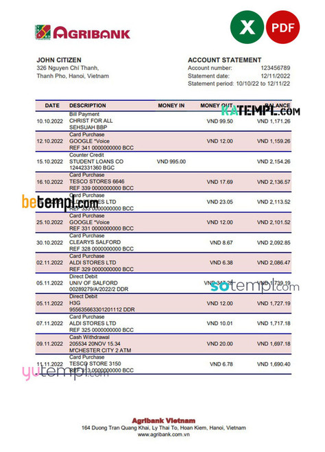 Vietnam Agribank bank statement, Excel and PDF template