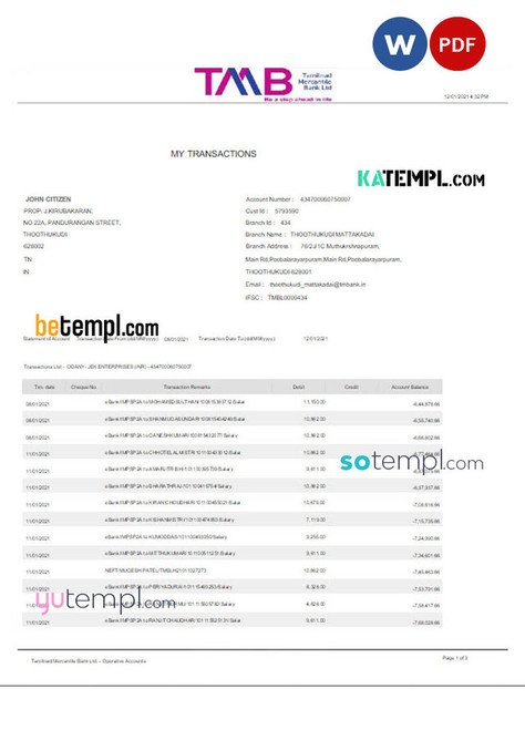 INDIA TAB bank statement Word and PDF template