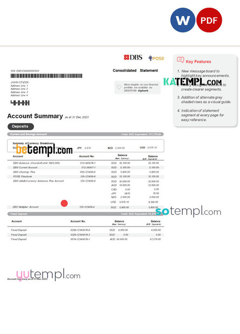 Singapore DBS bank statement Word and PDF template, version 2