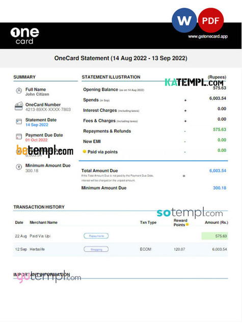 USA 1ONE CARD statement Word and PDF template