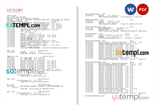 USA Jackson National bank statement Word and PDF template, 2 pages
