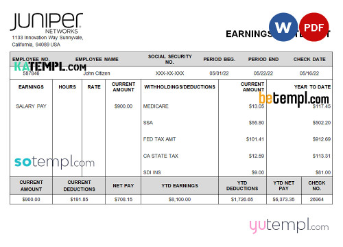 USA Juniper networking company pay stub Word and PDF template