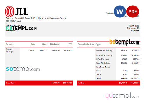 USA JLL real estate company pay stub Word and PDF template