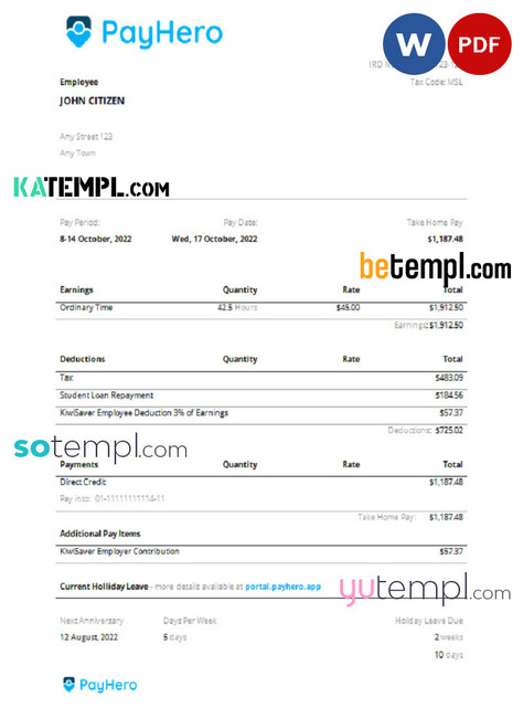 USA PayHero financial company pay stub Word and PDF template