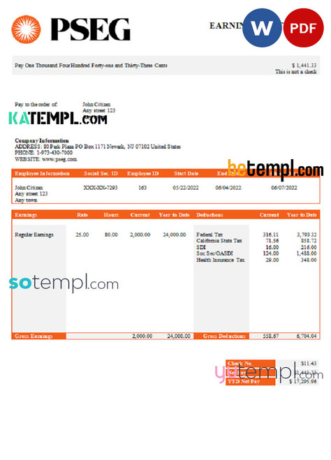 USA PSEG utilities company pay stub Word and PDF template