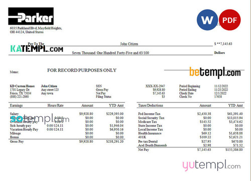 USA Parker Hannifin engineering company pay stub Word and PDF template