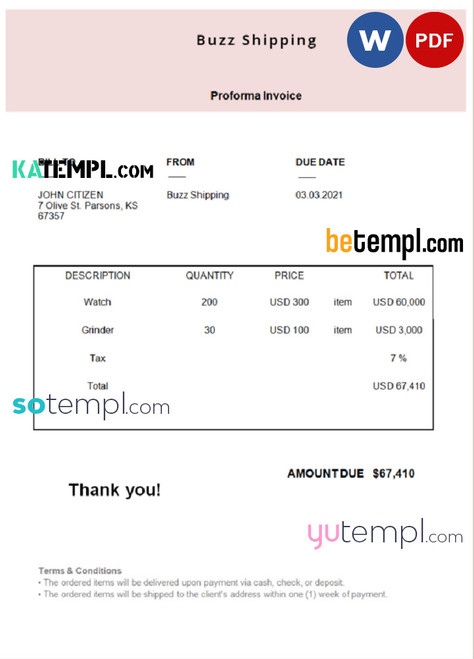 USA Buzz Shipping invoice template in Word and PDF format, fully editable