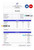 Bluefield Corp. Ltd pay stub Word and PDF template