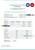 BYL Marketing Co. earnings statement Word and PDF template