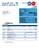Bank AlJazira firm account statement Word and PDF template