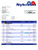Nykredit Bank organization statement Word and PDF template