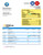 Shinhan Financial Group enterprise statement Word and PDF template