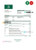 Lesotho Standard Lesotho Bank statement Excel and PDF template